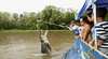 Spectacular Jumping Crocodile Cruise