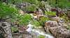 Crows Nest National Park
