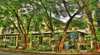 Parrotfish Lodge Backpackers Resort