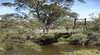 Avon Park