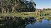 Arthurs Lake