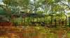 Arnhemland Barramundi Nature Lodge