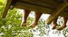 Adventure Playground