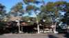 Blue Cattle Dog Hotel
