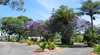 Twilight Caravan Park