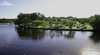 Dawson River Tourist Park