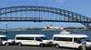 Waratah Adventure Tours