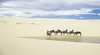 Stockton Beach