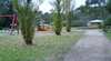 Picton Botanical Gardens
