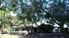 Roughley House and The Pines
