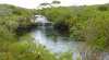Booderee National Park: Green Patch and Telegraph Creek Walking Tracks
