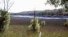 Thirlmere Lakes National Park