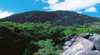 Black Mountain (Kalkajaka) National Park