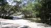 Davies Creek National Park and Dinden National Park