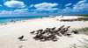 Michaelmas and Upolo Cays National Park