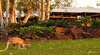 Seven Spirit Bay Eco-Wilderness Resort
