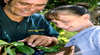 Aboriginal Heritage Tour