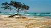 Australia See Moreton Island Tours
