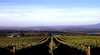 Melbourne Wine Tours