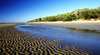 Burrum Coast National Park