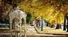 Autumn Colours