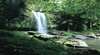 Curtis Falls, Joalah Section
