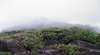 Bartle Frere Trail (Josephine Falls Trail Head)