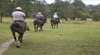 Billabong Park Horse Riding Centre