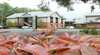 Springs Resorts