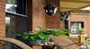 Amazing Country Escapes - Bishops Court Estate Boutique Hotel