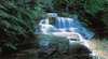 Leura Cascades
