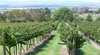 Mount Panorama Winery Self Contained Accommodation