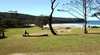 Pebbly Beach Camping Area