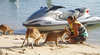 Gold Coast Jet Ski Safaris