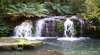 Barrington Tops National Park Walks