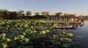 Wetland Cruises