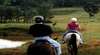Hunter Valley Horseriding and Adventures