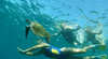 Tweed Snorkelling and Whale Watching Adventures
