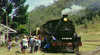 Suncoast Half Day Tours