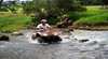 Gold Coast ATV Quad Bike Safaris