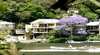 Riverside Escape on Berowra Waters