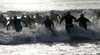 Kings of the Coast - Caloundra Ocean Swim