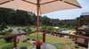 Dolphin Cove Bed and Breakfast