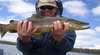 Tasmania Trout Tonic Guided Fishing