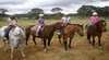 Cowboy Up Trail Riding