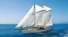 Tallship Adventures