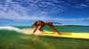 Lazy Lizard Surf School 1770