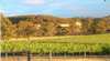Nicklebray Vineyards