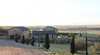 Basia Mille Vineyard Olive Grove and Boutique Accommodation