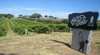 Mollydooker Wines